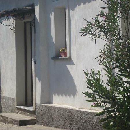 B&B Vaiana Maida ห้อง รูปภาพ
