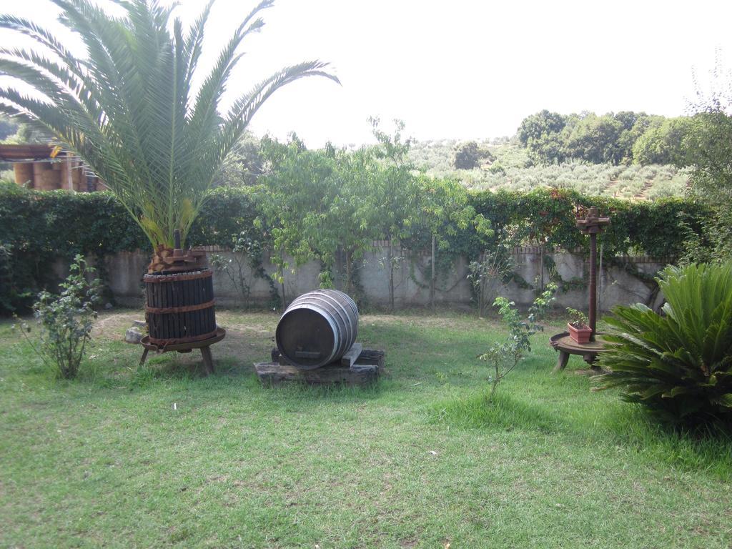B&B Vaiana Maida ภายนอก รูปภาพ