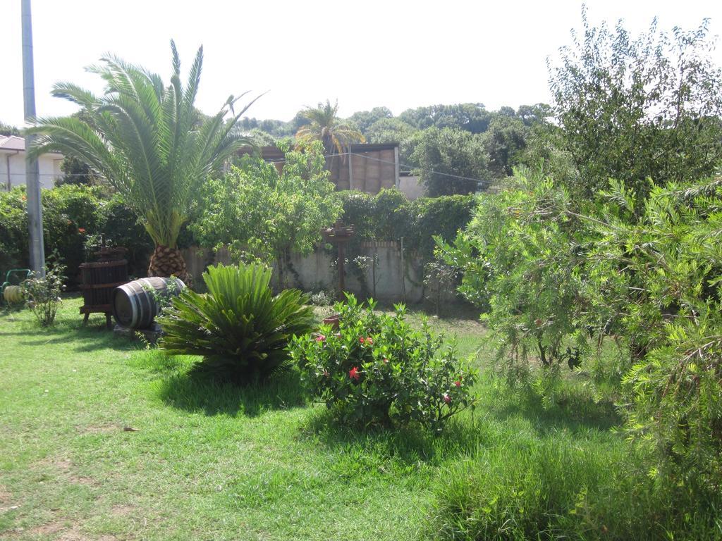 B&B Vaiana Maida ภายนอก รูปภาพ